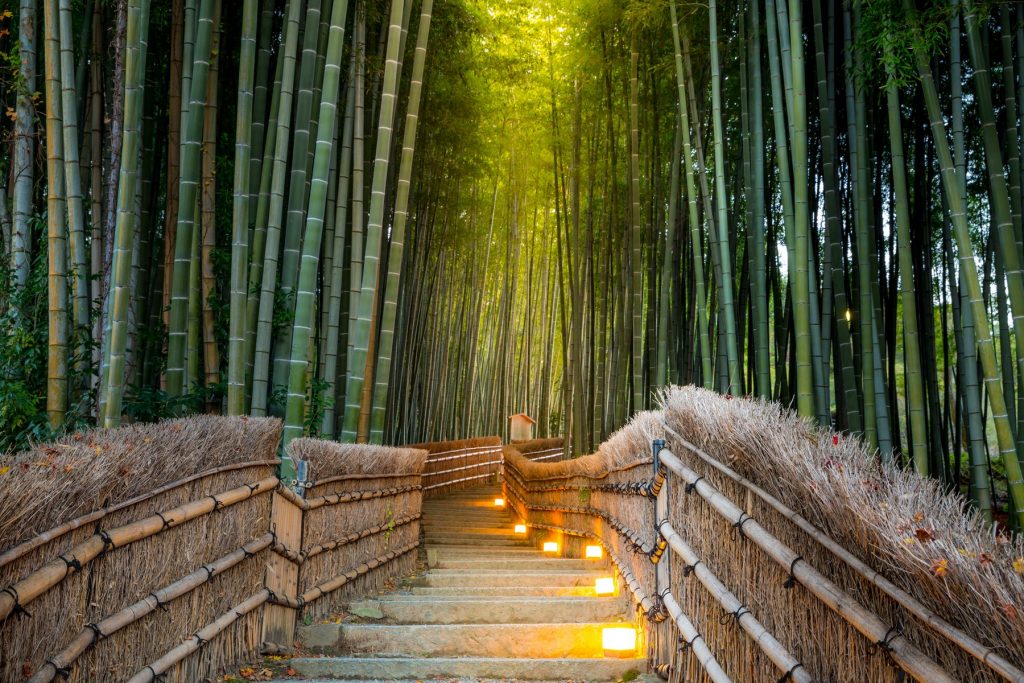 Arashiyama las bambusowy