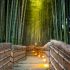 Arashiyama las bambusowy